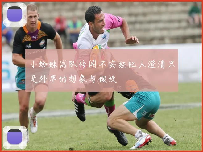 小蜘蛛离队传闻不实经纪人澄清只是外界的想象与假设
