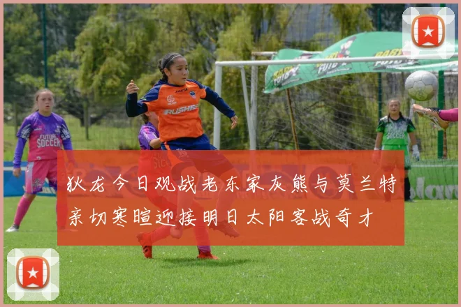 狄龙今日观战老东家灰熊与莫兰特亲切寒暄迎接明日太阳客战奇才